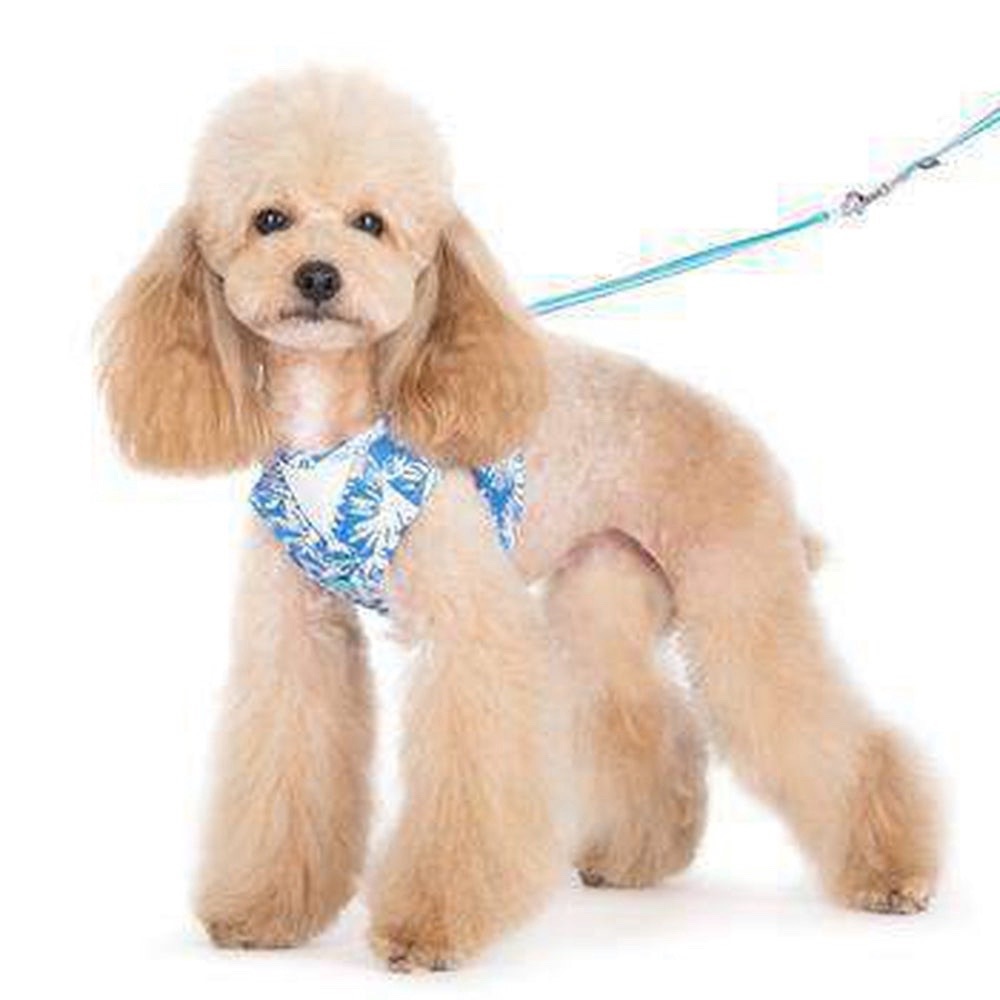 Dogo easily go Hawaiian harness. Size Large with matching leash. - Picture 6 of 8